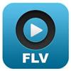 FLV Player Windows 8