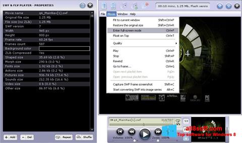 Screenshot FLV Player Windows 8