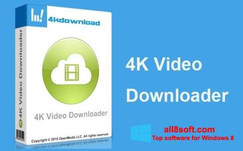 Screenshot 4K Video Downloader Windows 8