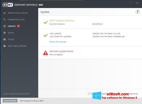 Screenshot ESET Endpoint Antivirus Windows 8