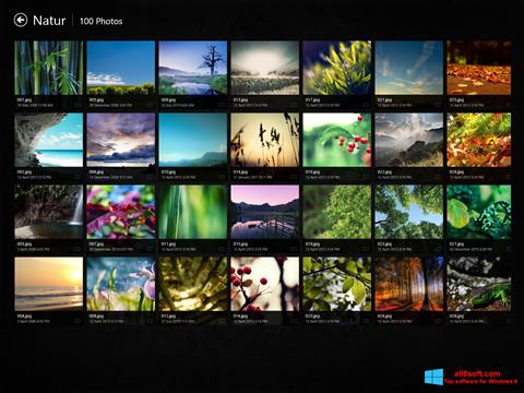 Screenshot Picasa Photo Viewer Windows 8